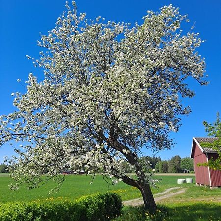 Levomaeki Farm Cottages Ypaja Exterior foto