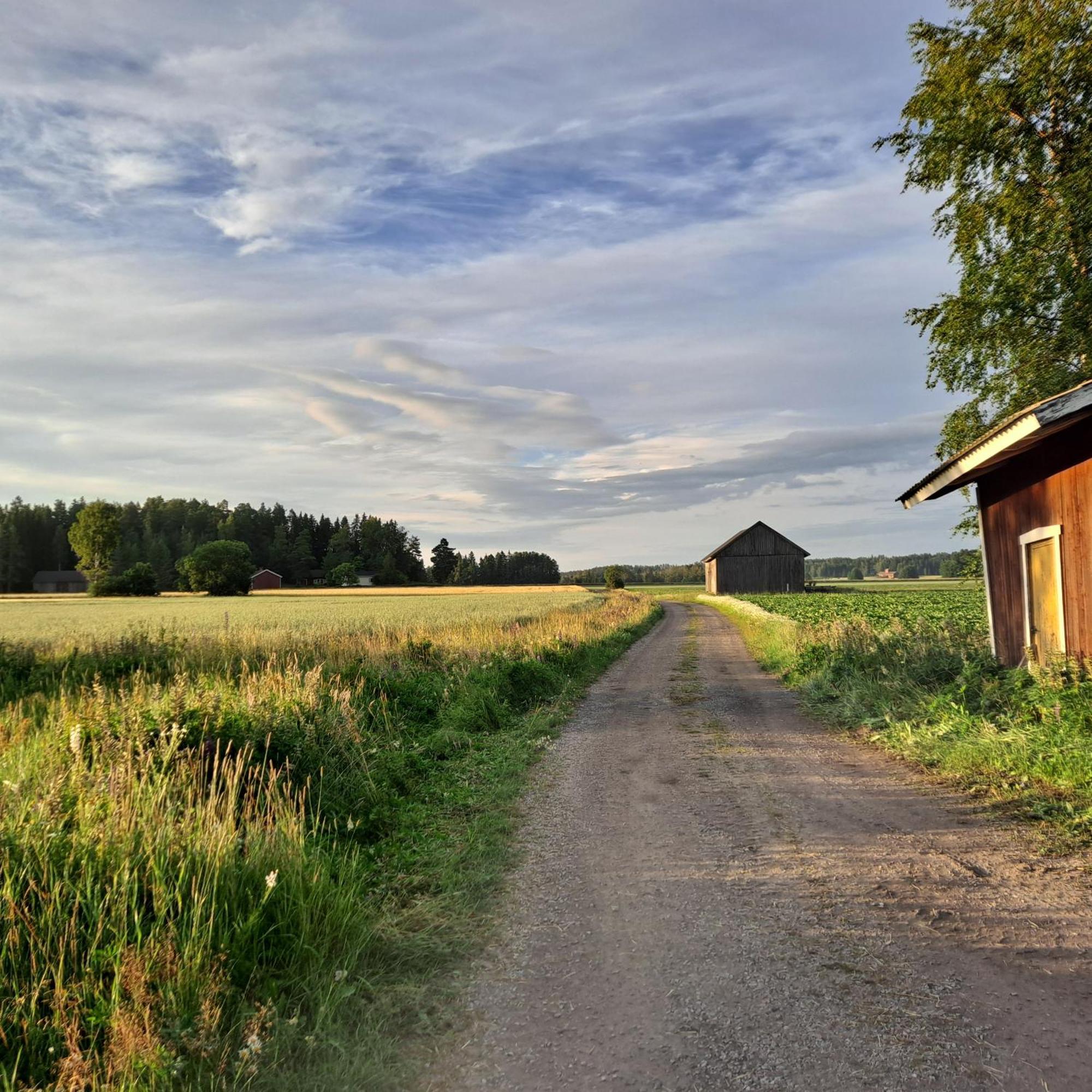 Levomaeki Farm Cottages Ypaja Exterior foto